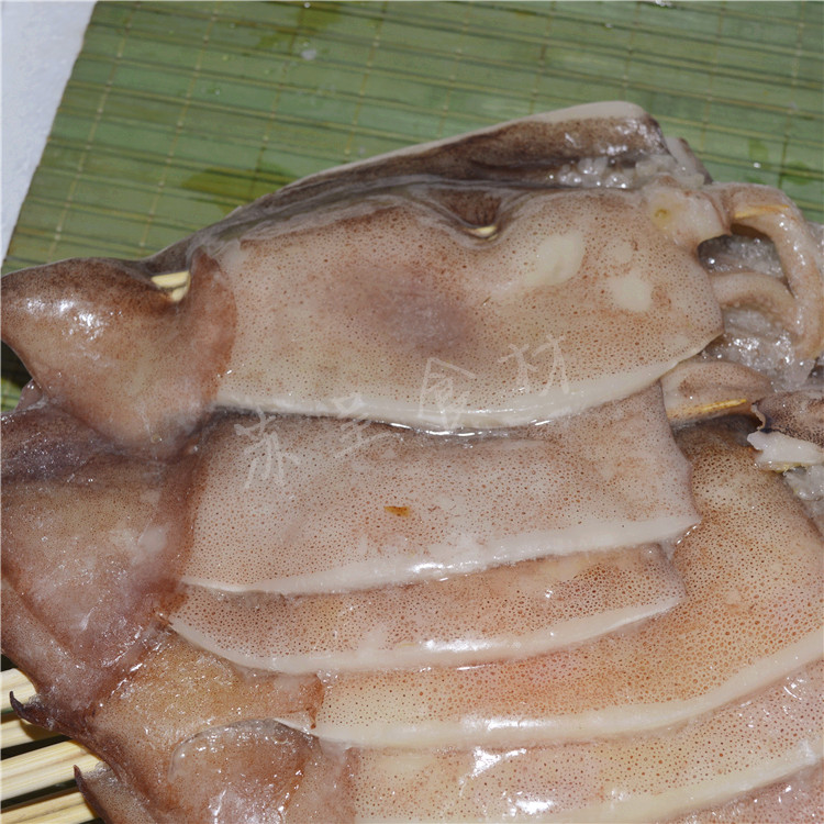 150g鱿鱼板新鲜冷冻鱿鱼铁板鱿鱼轰炸鱿鱼鱿鱼身20串量大优惠价