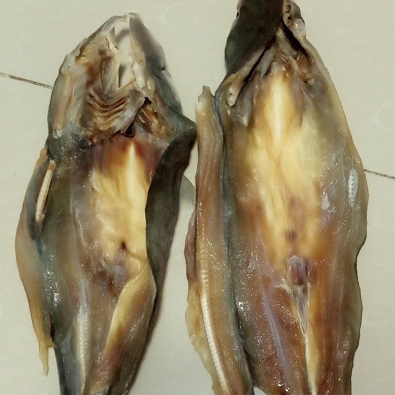 新货小鲨鱼干咸鱼干北海特产海鲜干货渔民自晒鲨鱼干北部湾产春田之光