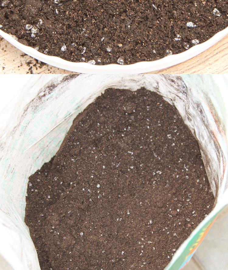 育苗基质50l营养土花土大包蔬菜苗花水果栽培通用家用有机土甘肃广西