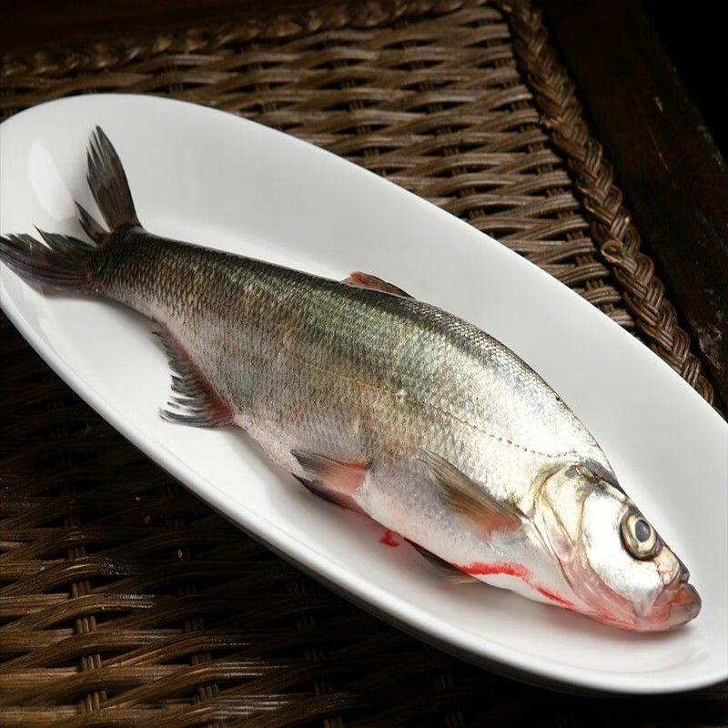 苏州白鱼-白水鱼-翘嘴鱼-新鲜刁子鱼-淡水大白刁新鲜保鲜 500g/条 共