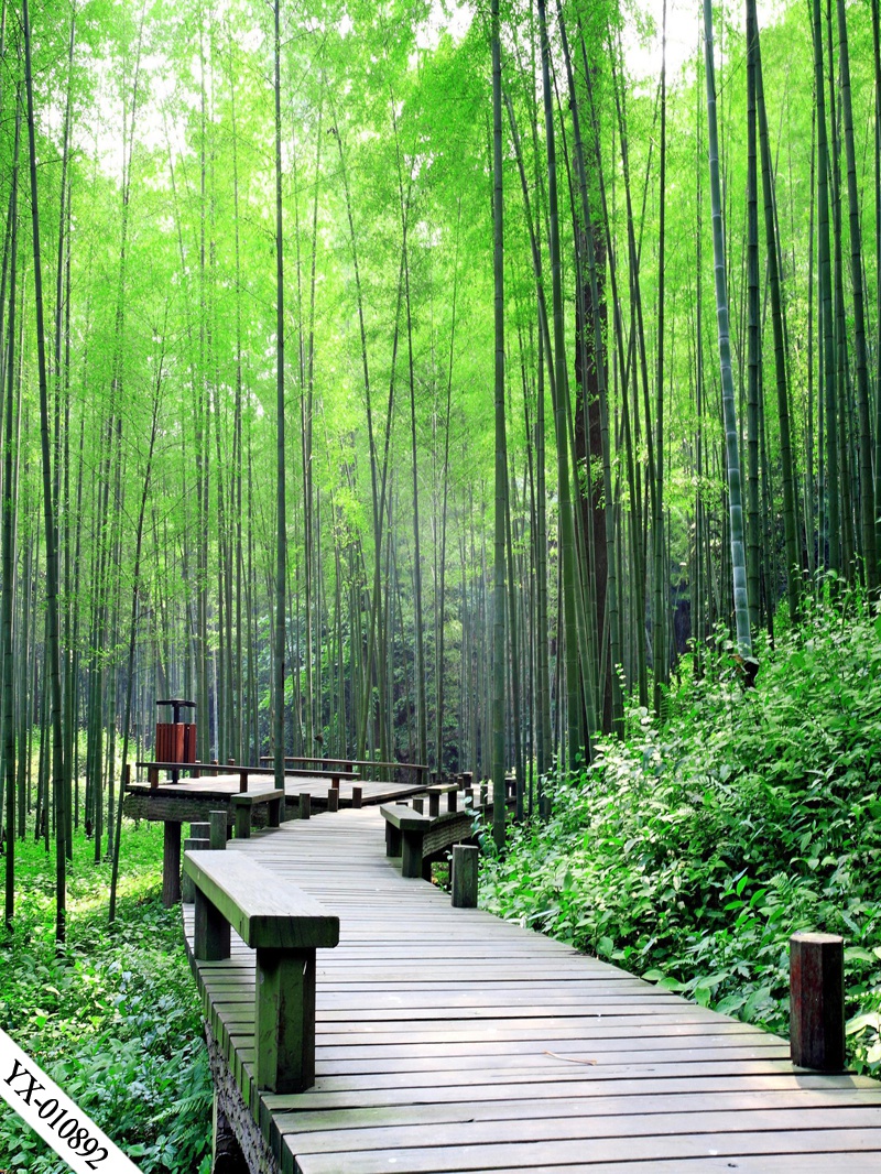 直播背景布3d立体直播间装饰主播竹林山水田园外景快手网红背景墙