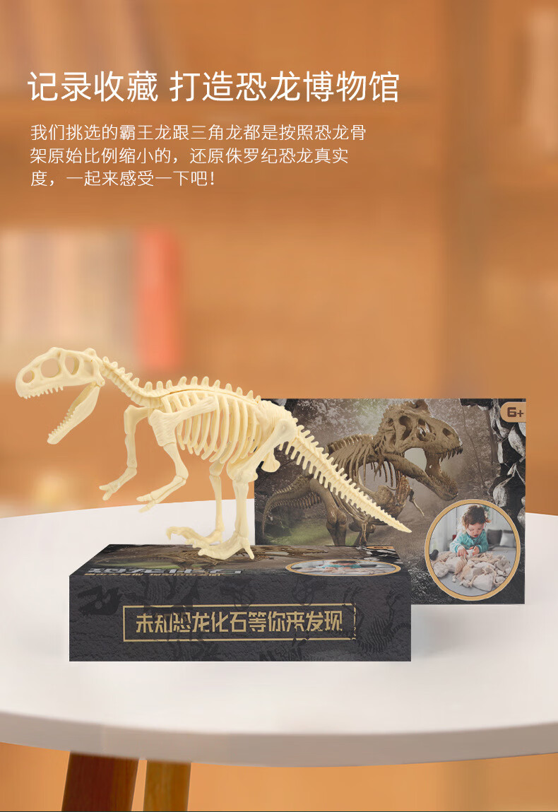 儿童益智diy考古挖掘玩具 古生物恐龙骨架模型批发盲盒 上龙(邮购盒)