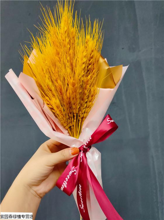 运动会手捧花大麦伴手礼 开业礼物拍摄道具 精美大麦花束168支彩灯