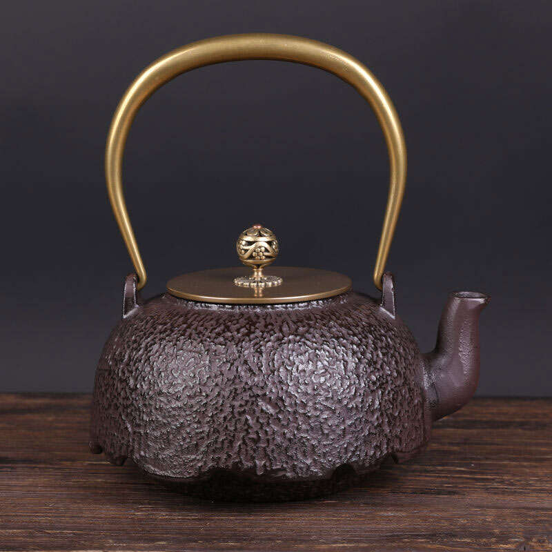 生铁茶壶手工铸铁壶日式家用烧水铁壶仿日本南部铁器复古装修摆件12l