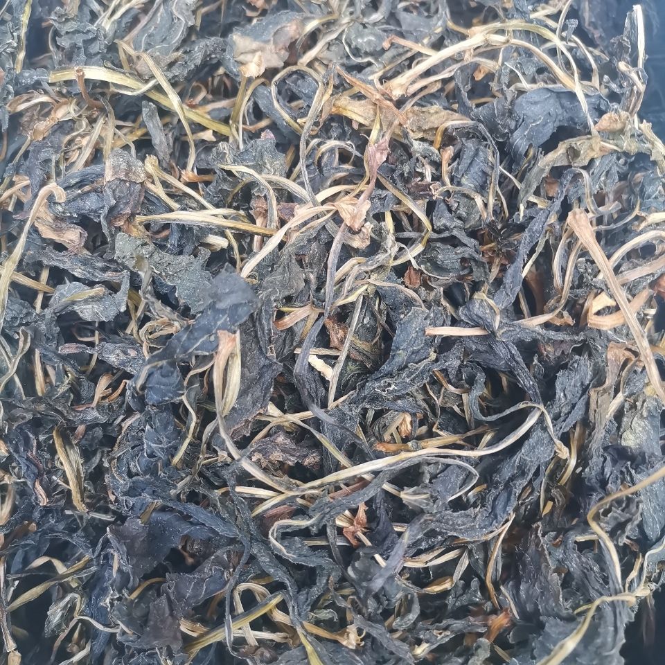 520礼物送女友苦菜干500克一份苦斋婆干货一斤装