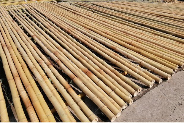 园艺 防腐竹竿装修干竹子装饰竹杆隔断装潢毛竹杆粗竹旗杆细跳舞白