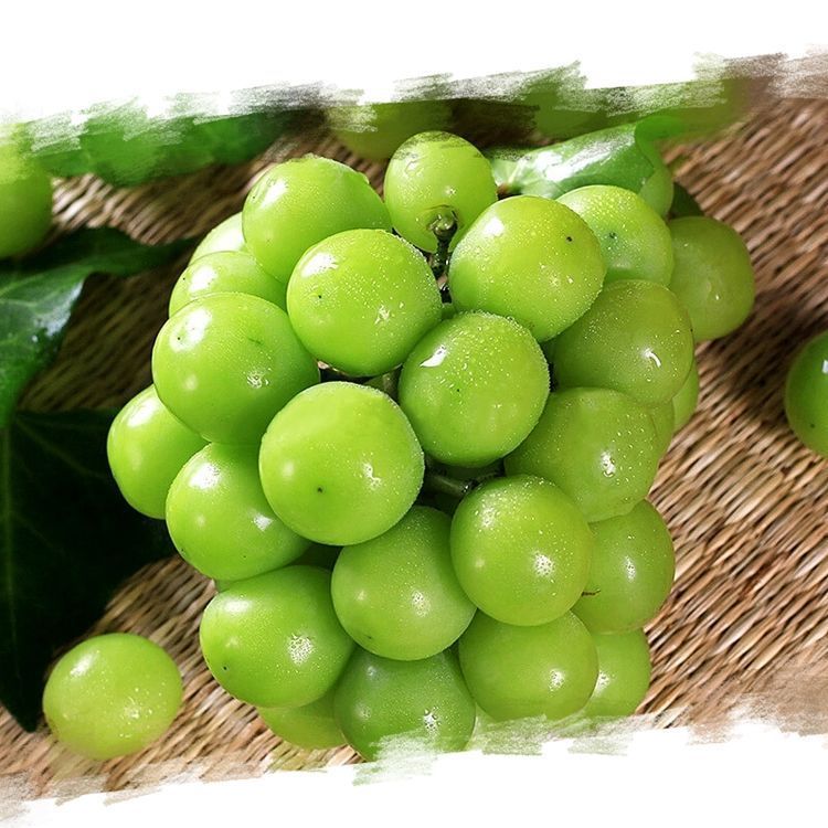 【顺丰】精选阳光玫瑰葡萄孕妇新鲜水果无籽提子绿色大葡萄 【颗粒