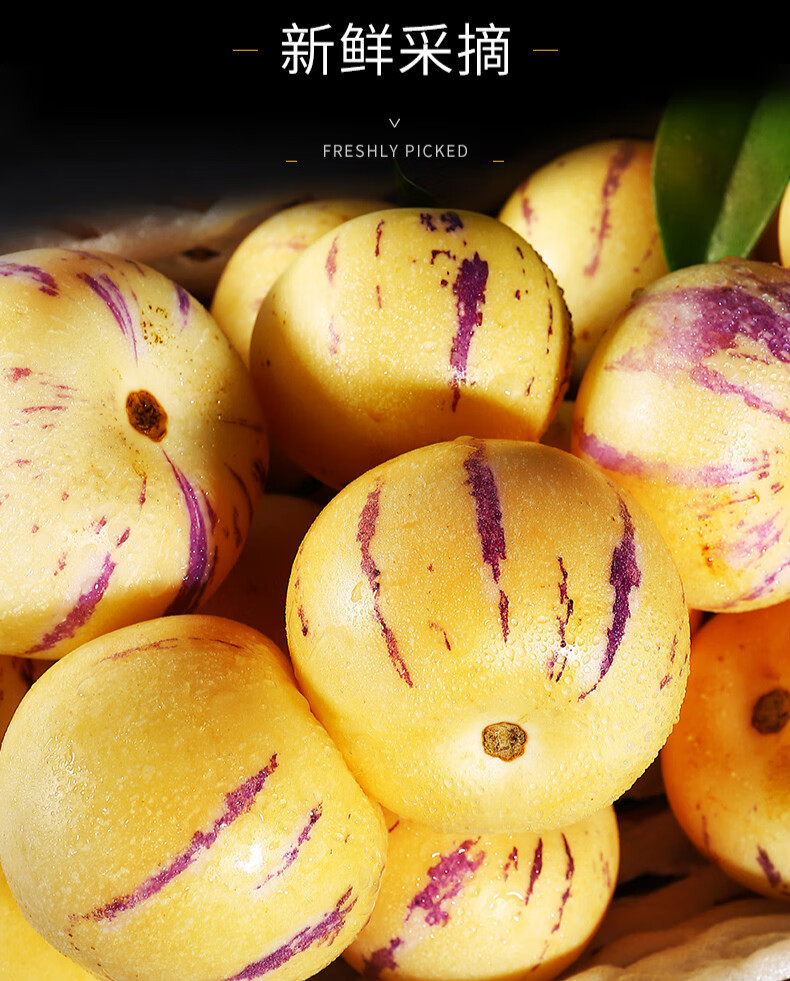 云南石林人参果当季水果人生果人参圆果5斤装精选果