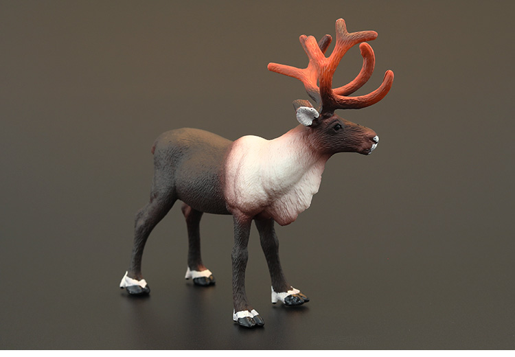 左一仁实心仿真动物玩具野生动物模型套装圣诞麋鹿驯鹿白尾鹿礼物摆件