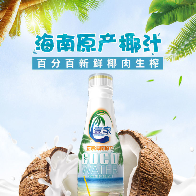 正宗海南泰式生榨椰子汁500ml小瓶整箱批发植物蛋白海南鲜榨椰汁500g