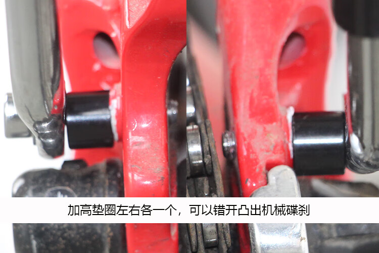 e187d9816025011a.jpg