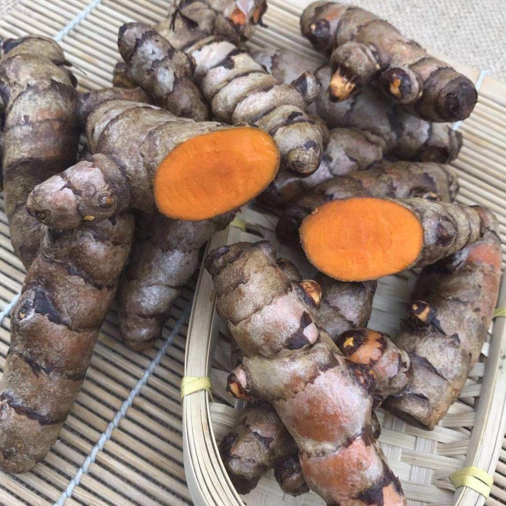 广西新鲜小黄姜泰国姜黄nghecu黄姜月子姜小指姜红姜产后调理1斤小