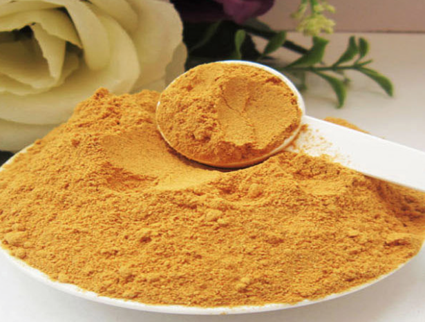 发酵虫草菌粉cs-4 虫草菌丝体粉蝙蝠蛾拟青霉菌粉粉500克sn4742