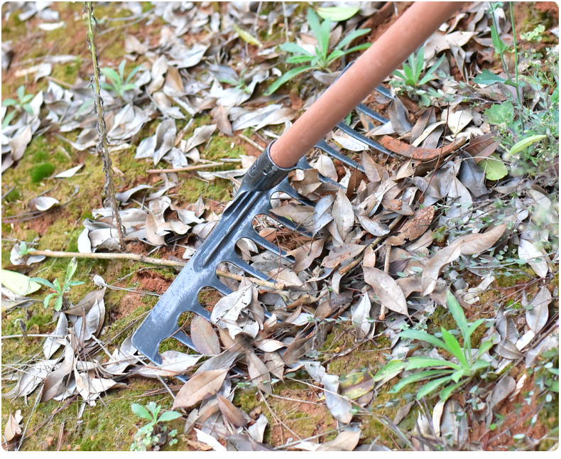 钉耙锰钢一体成型扒草搂草松土耙子农具除草九齿铁耙农用工具爬子一体