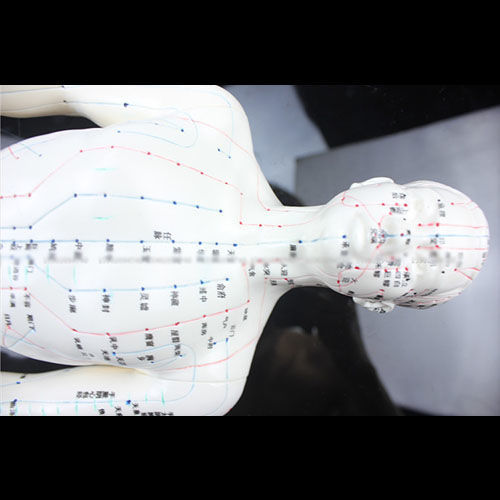 高清人体模型人体穴位模型医用针灸小人模型经络小人男性模型硬质高清