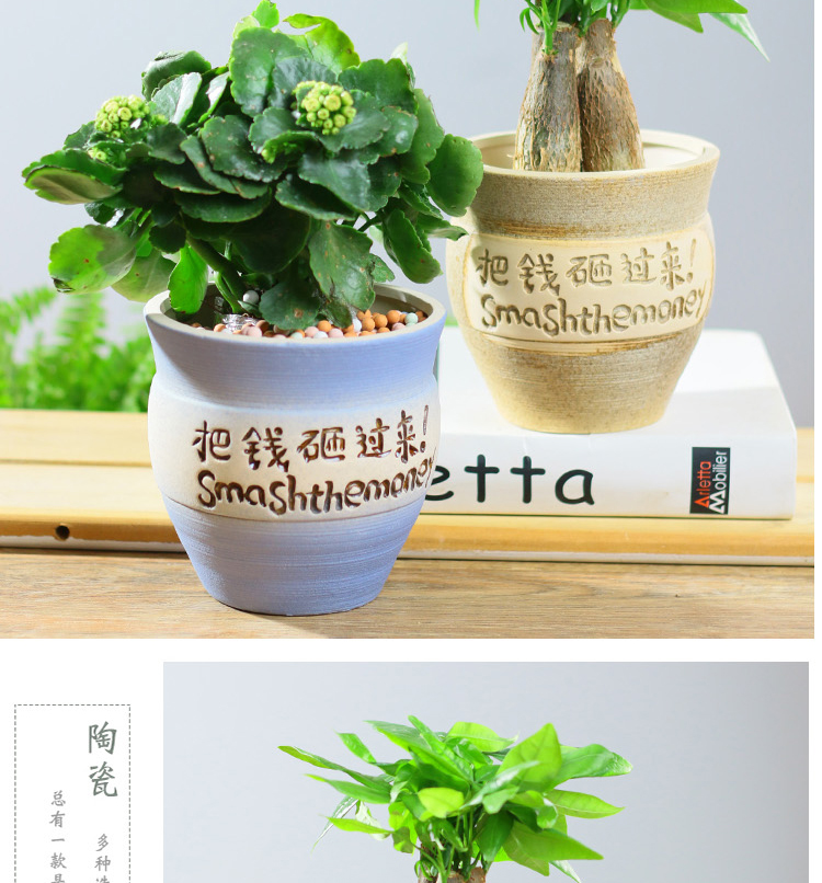 阑兮阁千千花卉绿植小盆栽花盆陶瓷把钱砸过来系列创意个性特大号多肉