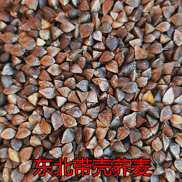 带壳荞麦5斤1斤 原粮三角荞麦 酿酒仓鼠粮信鸽观赏鸽鹦鹉鸟食新粮 加