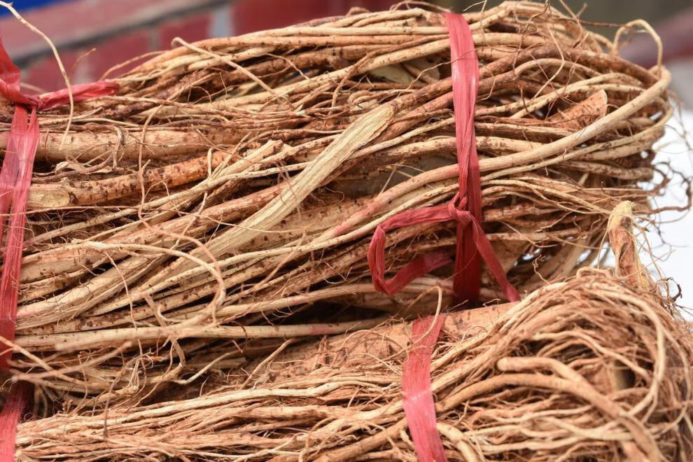 北京同仁堂野生五指毛桃根新货河源客家特产无硫磺五爪龙根五指牛奶