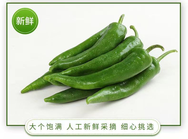 新鲜辣妹子辣椒美人椒朝天椒薄皮青尖辣椒土辣椒小辣椒剁椒辣 【够辣