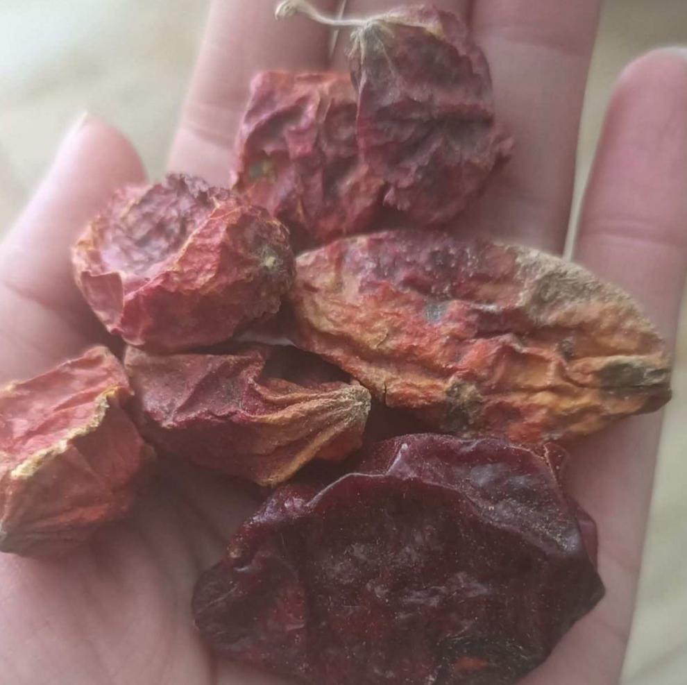 【精选好货】北京原料中药材赤包子 野生山屎瓜气包 赤包赤雹子赤爮