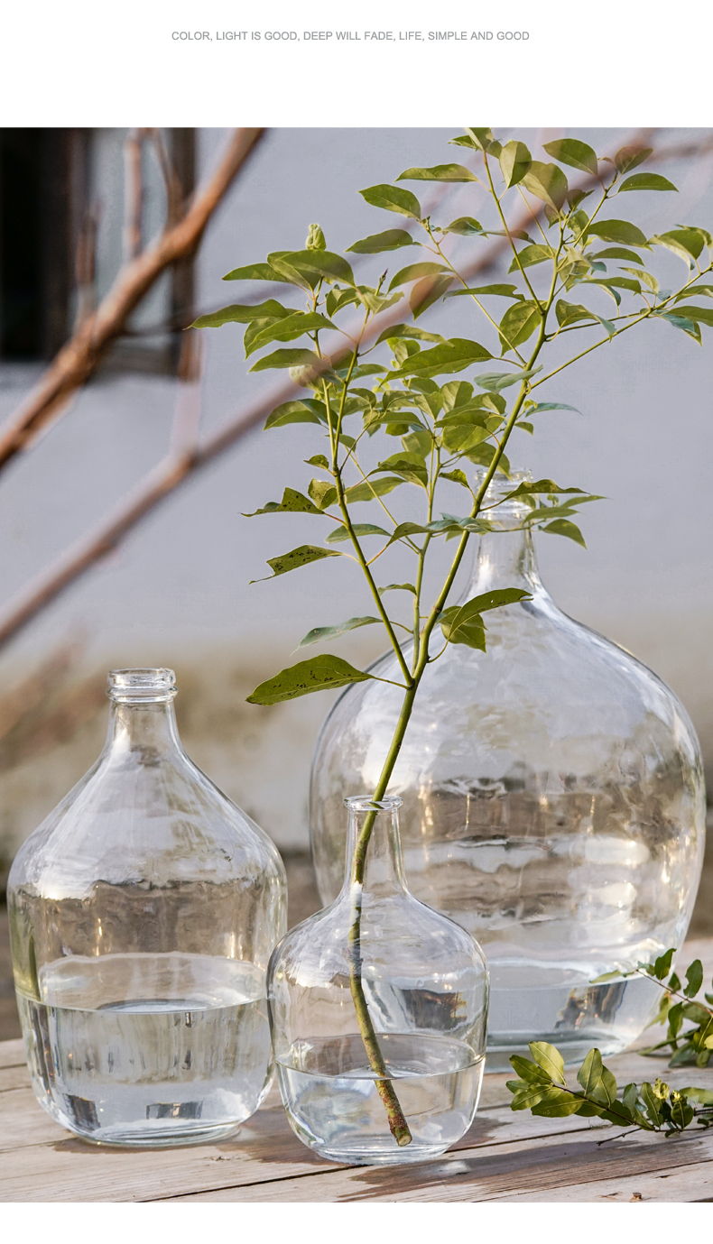 吊钟花瓶鸟与花家吊钟马醉木大肚花瓶摆件客厅插花细口透明玻璃花瓶
