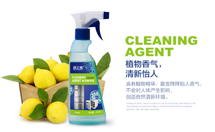 绿之源玻璃清洁剂500ml2