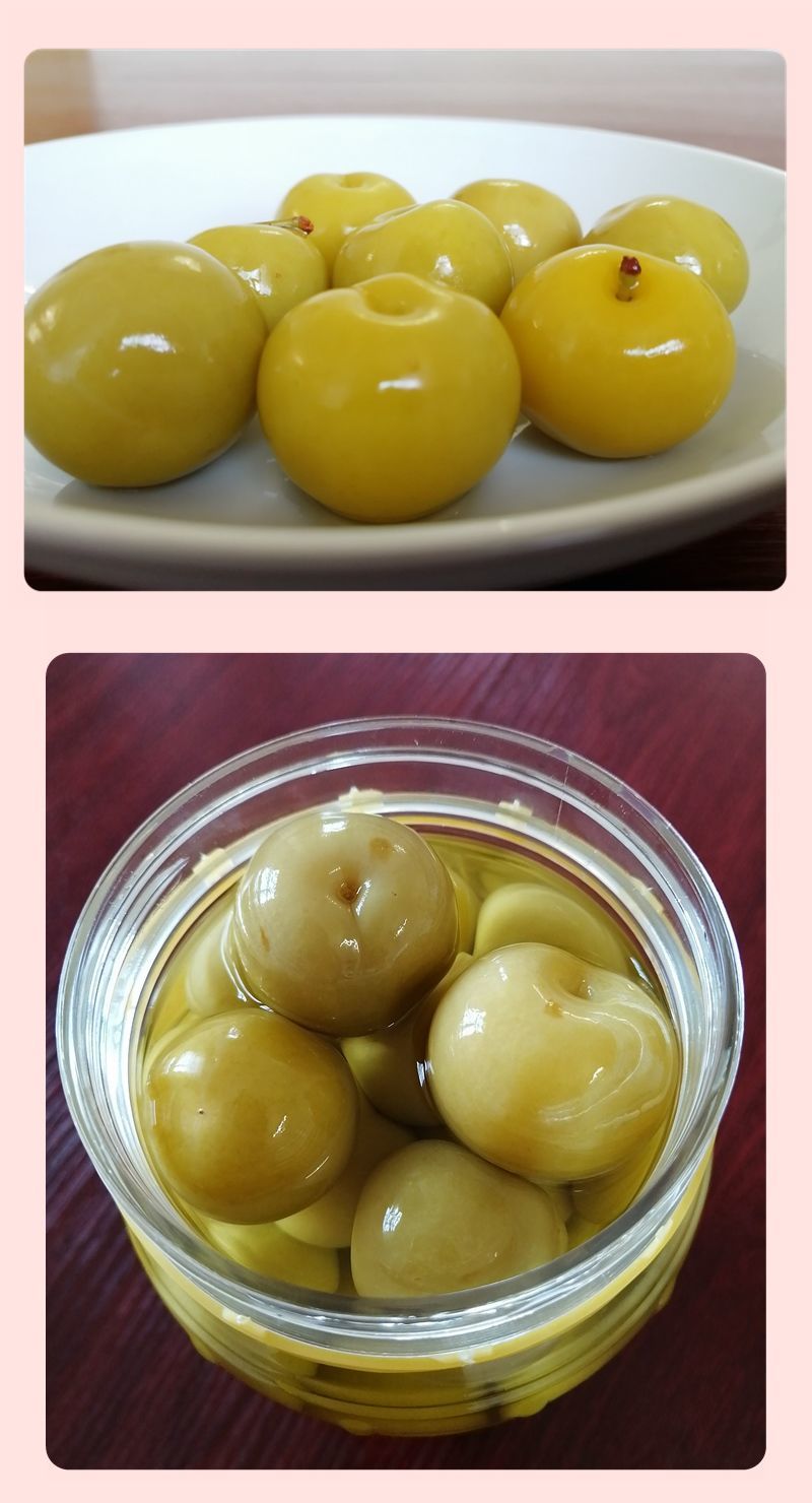 广西玉林腌制酸脆李子发记泡李子青李子酸料酸嘢腌李子米李三月李500