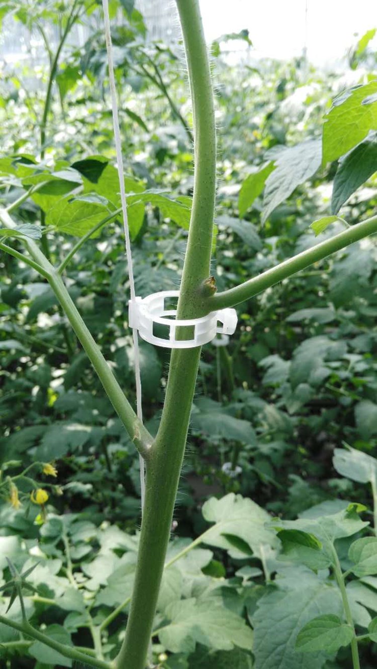 温室蔬菜吊秧器吊蔓钩藤蔓挂钩蔬菜吊绳m型挂钩10m绳番茄黄瓜钩1个m型