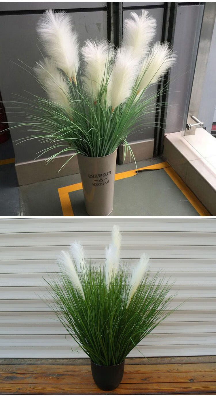 粉红色仿真芦苇草干花盆栽摆件客厅装饰假狗尾草落地橱窗摆设灰叶白