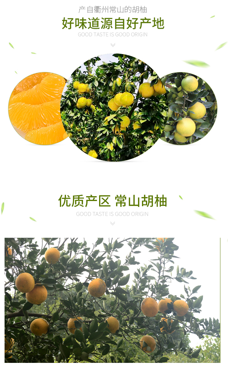 浙江常山胡柚10斤带箱黄心柚新鲜水果酸甜微苦皮薄小果3两以下92斤