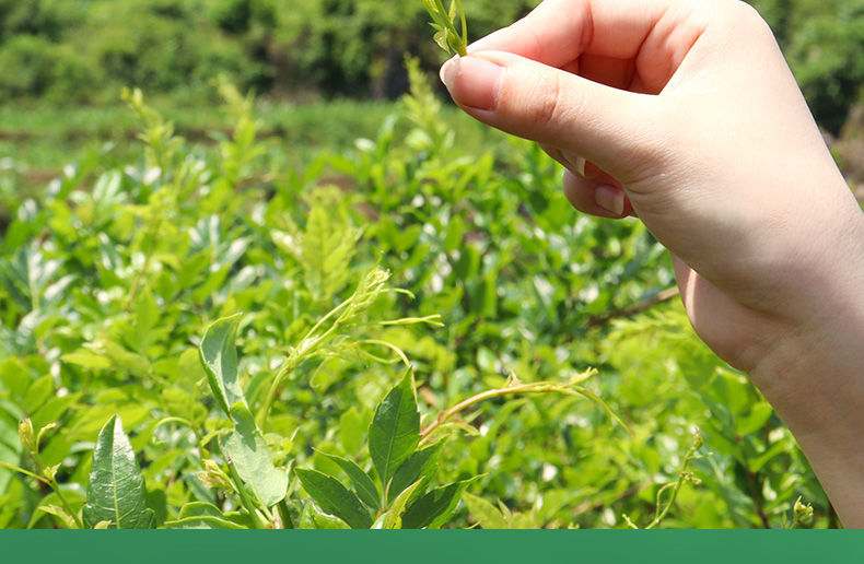 小稀藤 小稀藤恩施来凤藤茶富硒藤茶龙须莓茶养生茶礼盒送礼(福气)20