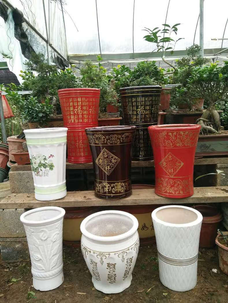 高筒陶瓷花盆特大号发财树幸福树平安树绿植花卉盆栽室内外客厅白色