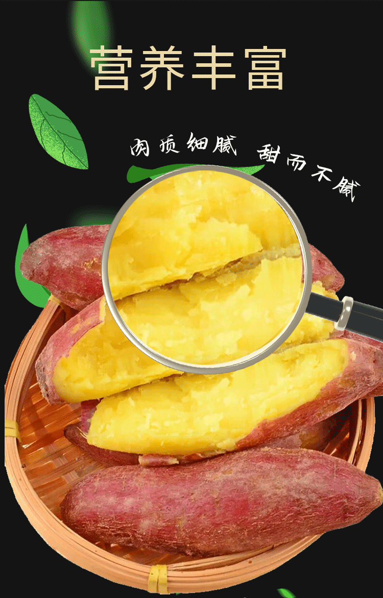 龙九黄心蜜薯新鲜蔬菜红薯番薯肉质软糯香甜蜜薯 2斤装小果【单果150