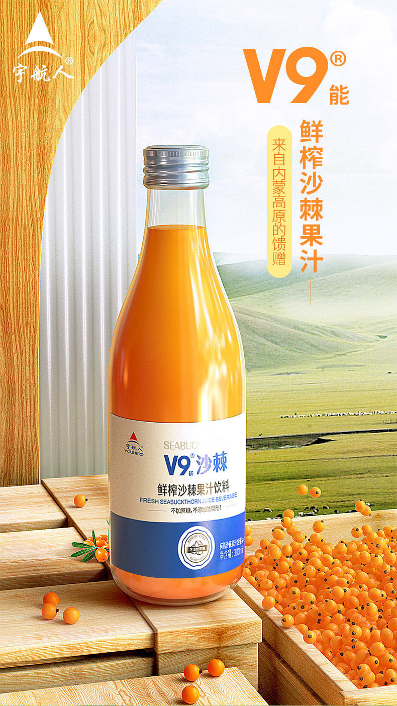 橙伯乐蒙草小果沙棘原浆宇航人 300ml*12瓶 宇航人v9沙棘汁高vc沙棘