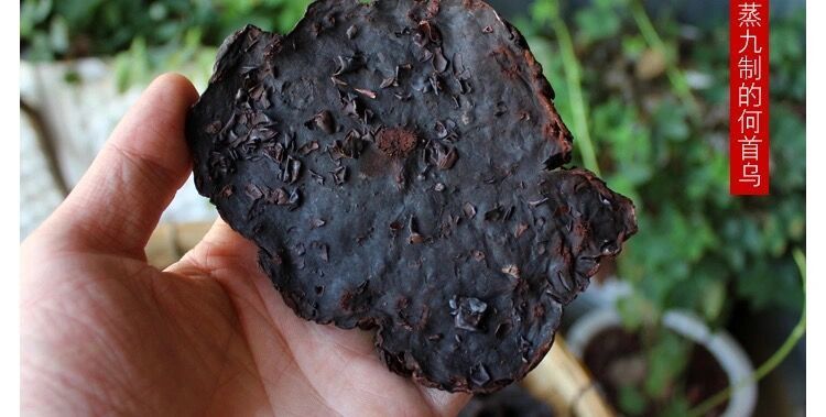 何首乌白发转中药材制何首乌食用泡水喝煲汤泡酒料养发乌发 十年