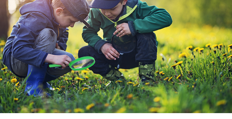 儿童昆虫观察盒收集器带放大镜捕虫网捉蜻蜓蝴蝶户外探索工具抖音同款
