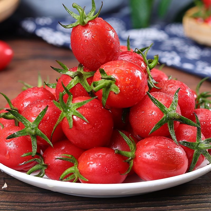 顺丰釜山88玲珑果小番茄爆甜新鲜小千禧圣女果小西红柿玲珑水果釜山88