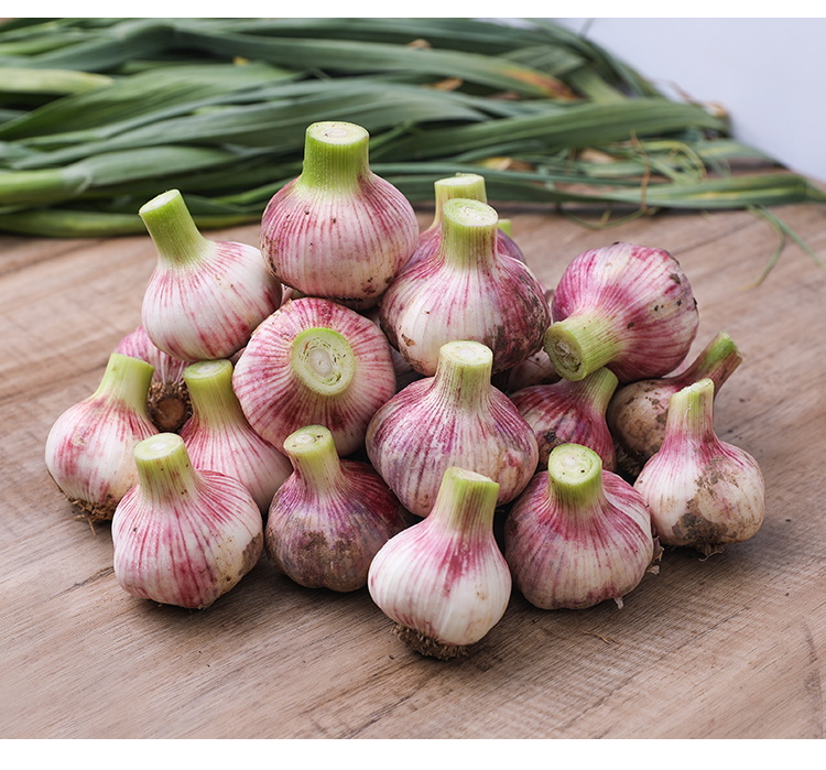 悠妃2022现挖新鲜紫皮大蒜头鲜蒜湿蒜5斤河南多瓣蒜嫩蒜腌制糖醋大蒜