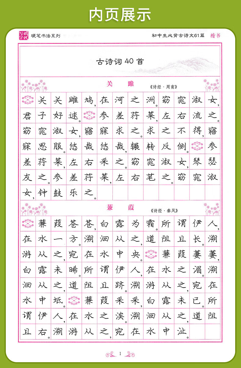 庞中华硬笔楷书字帖飞花令里写诗词 学生背古诗文75首61篇72篇 婉约词