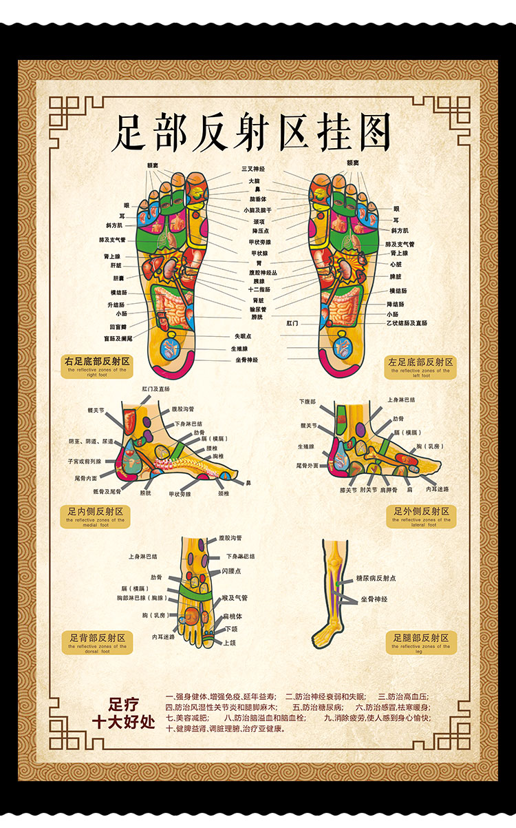人体足底按摩穴位图足部反射区挂图片足疗脚底中医养生美容院海报 横