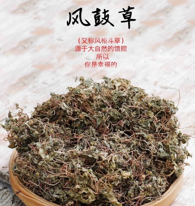 风柜斗草 干品楮风谷风鼓草 风骨草 风方古草 方鼓草 250克【图片