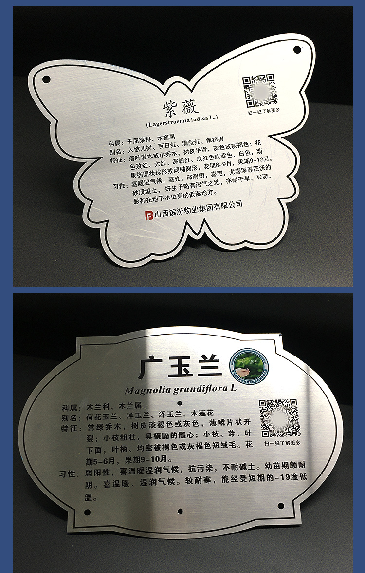 不锈钢树牌卡树木介绍牌学校树木认领卡公园植树节树牌设植物绿化信息