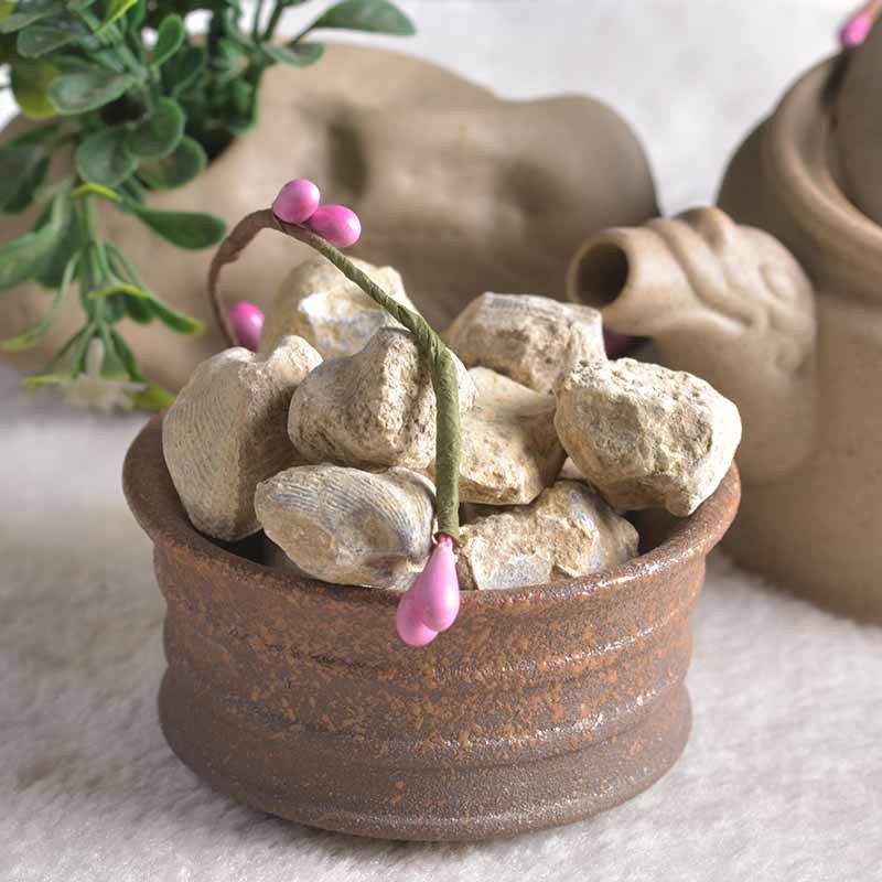 石燕500克燕石子石燕子水飞石大石燕水飞石燕石燕
