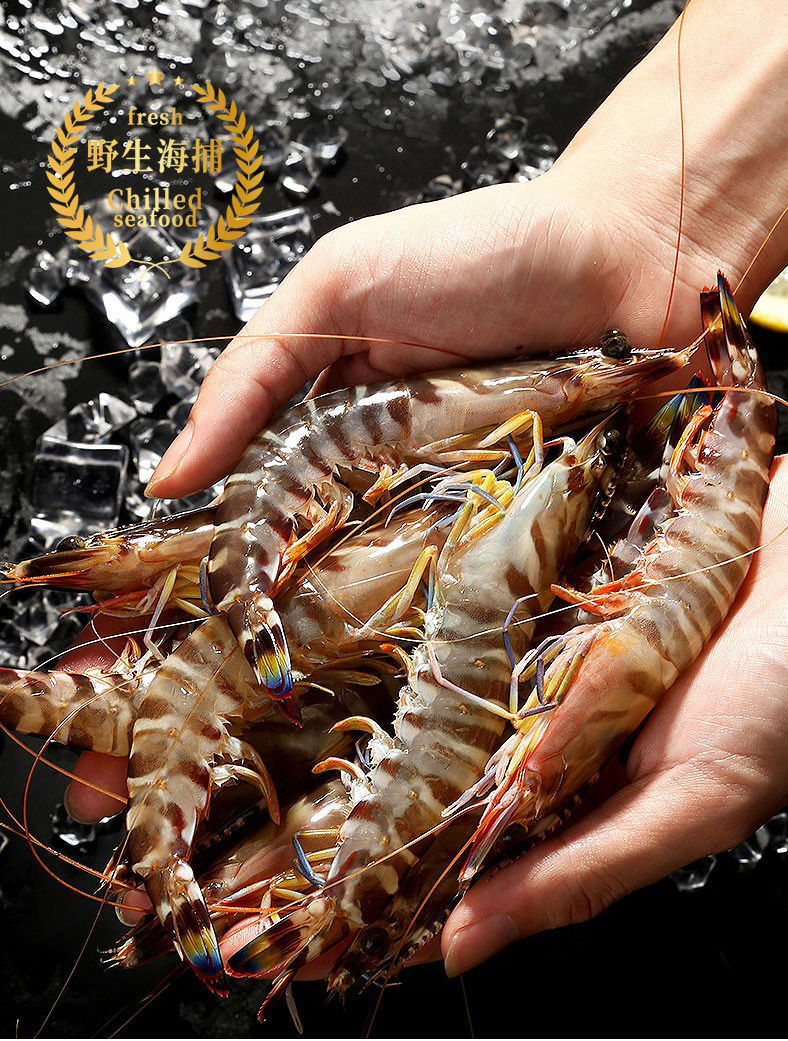 顺丰冷运海虾斑节虾九节虾新鲜冷冻基围虾特大号竹节虾海虾斑节虾400