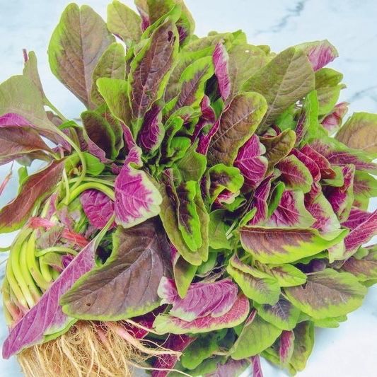 红苋菜 新鲜蔬菜苏北农家自种 红旱菜露天蔬菜现摘带根汉菜红米苋 1斤