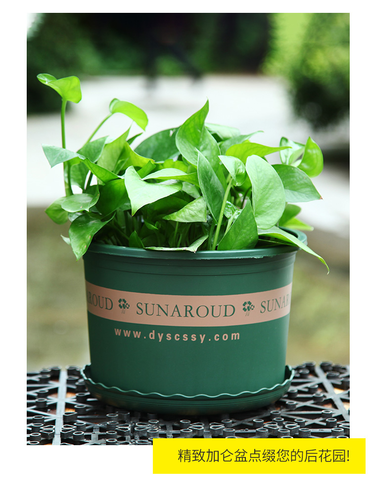 恒日晟花盆塑料高矮胖加仑花盆绿萝月季玫瑰大口径加厚花盆1号矮加仑