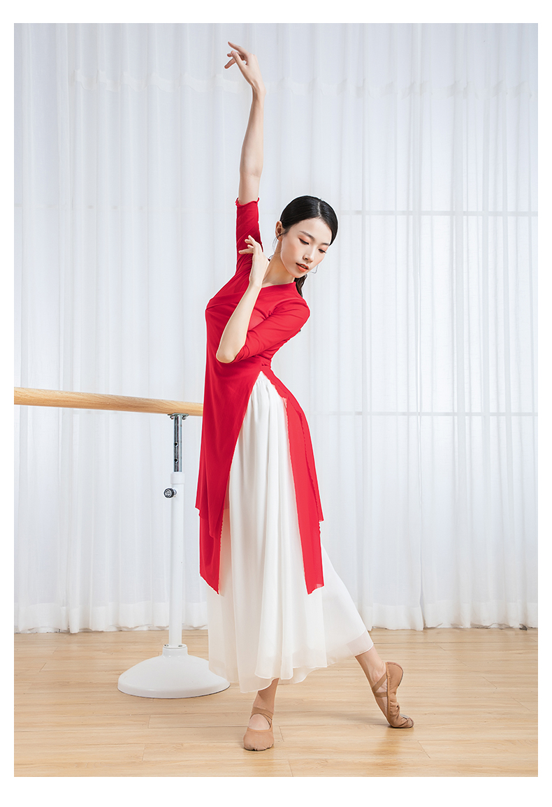 舞蹈服成人长款中国风古典舞网纱上衣女成人飘逸纱衣形体身韵演出跳舞