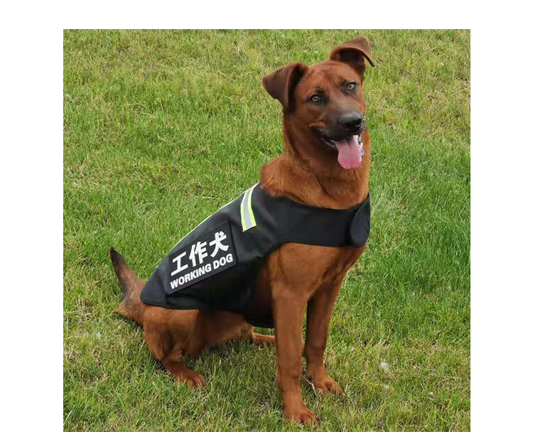 鹿凌青 工作犬警宠物背心狗狗衣服训狗马甲马犬金毛拉布拉多小中大型