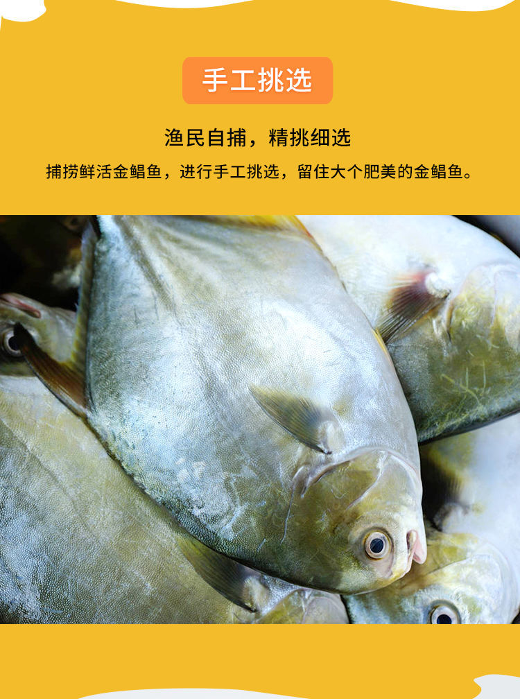 陽江特產金鯧魚淡曬小魚乾海鮮批發海產品乾貨金倉魚海味 1條大魚【24