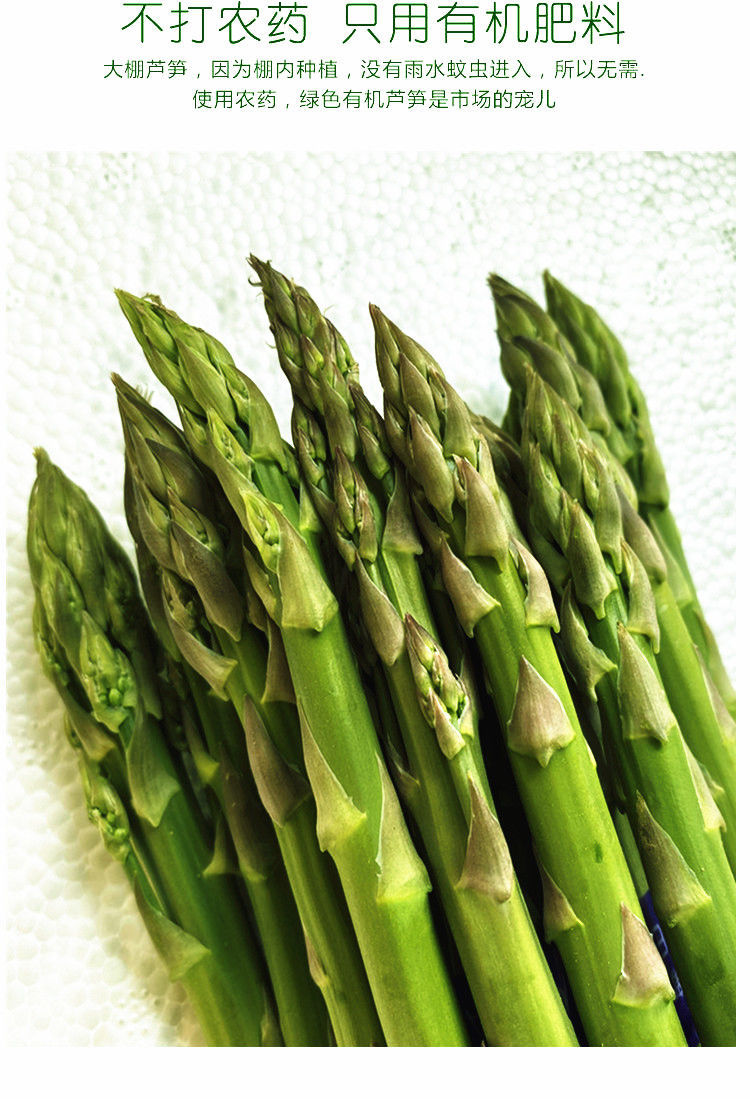 【国庆热购】芦笋新鲜芦笋现挖特产绿卢笋农家青笋新鲜蔬菜春笋龙须菜